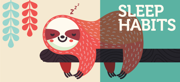 SLeeping sloth (sleeping habits)
